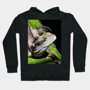 Eastern Water Dragon Hoodie